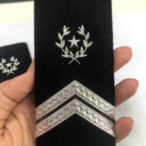 Galons plastiques 2V Gendarmerie Nationale Noir