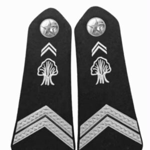 Galons COULISSANTS RIGIDES 2V police nationale  3.500 CFA