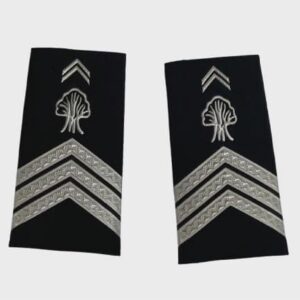 Galons COULISSANTS SOUPLES 3V police nationale  3.500 CFA